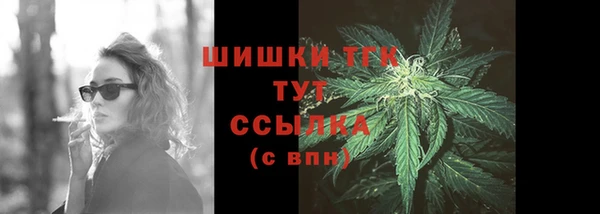 тгк Снежногорск
