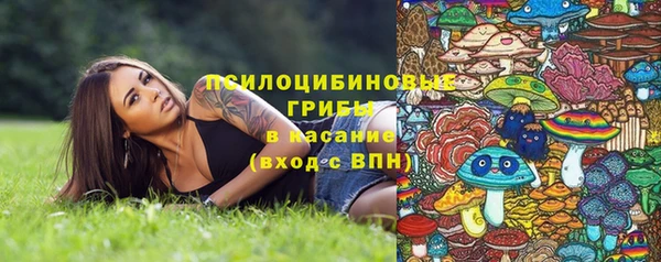 твердый Арсеньев