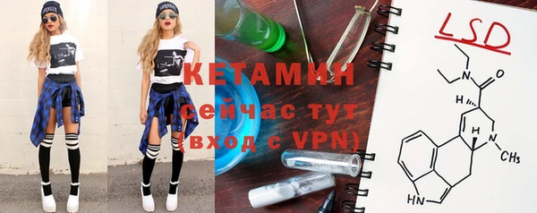 твердый Арсеньев